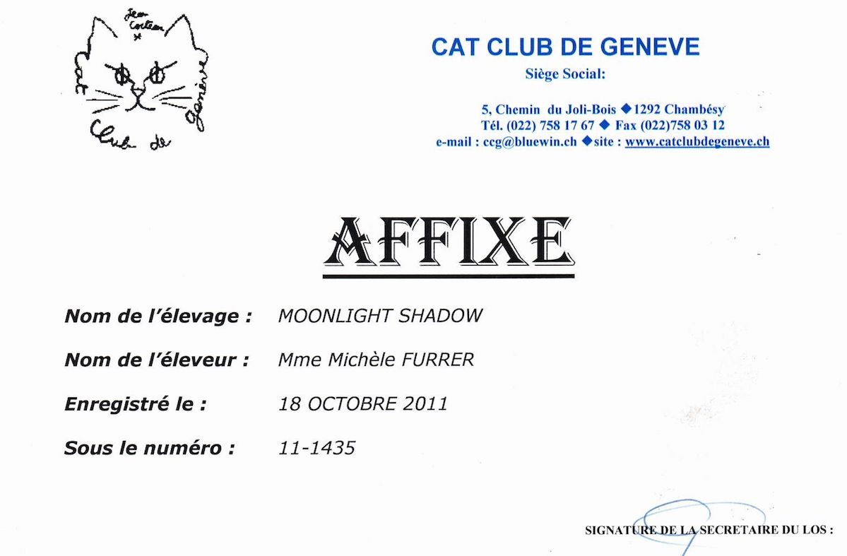 Affixe%20CCG